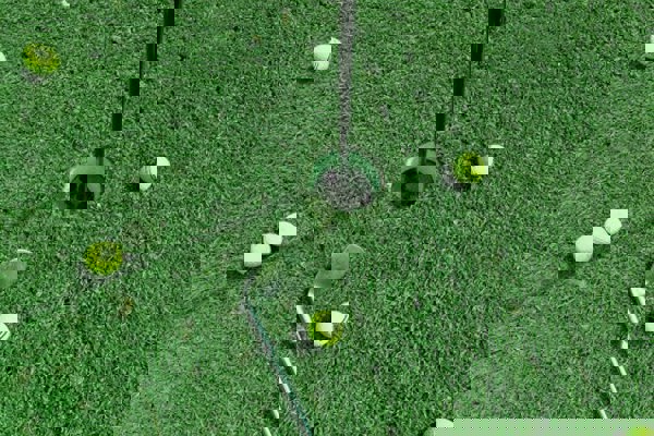 Träning med vår pro Denny