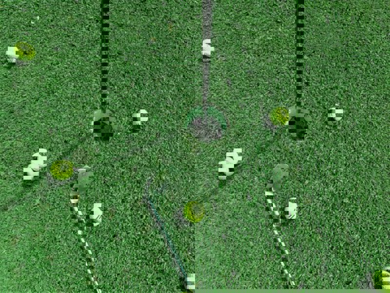 Träning med vår pro Denny