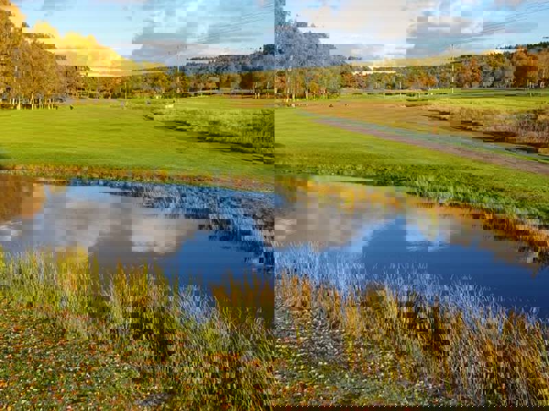 golf i höst