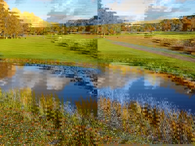 Golf i höst